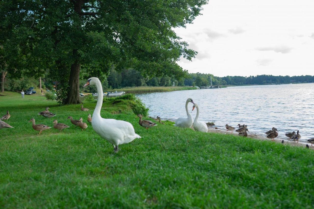 Apartament Augustow Swan Extérieur photo